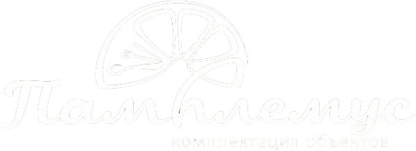 лого белый без фона